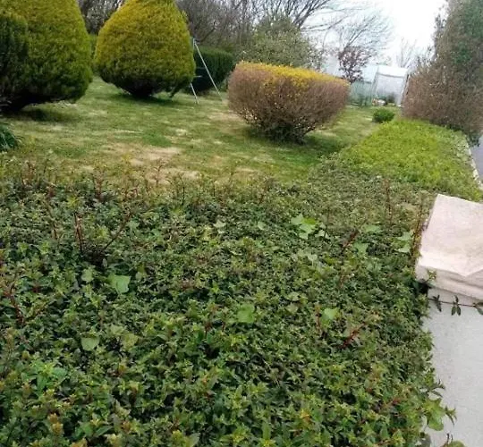 Lantställe Atlantic View *